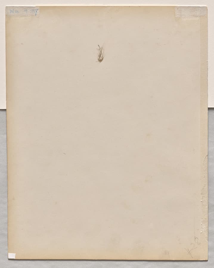 Face in Profile (verso) — Paul Baudry