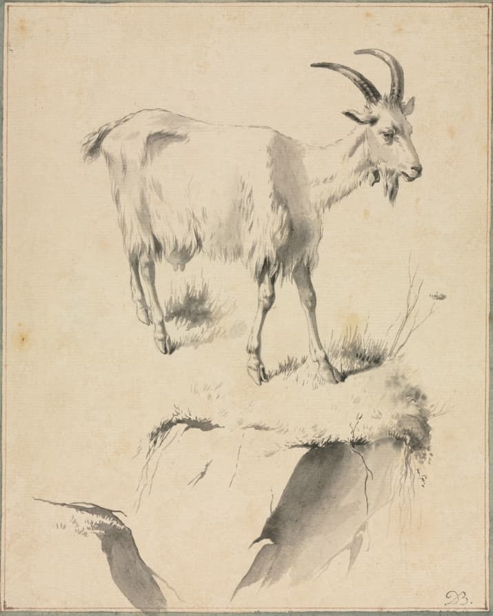 Study of a Goat — Jean Jacques de Boissieu