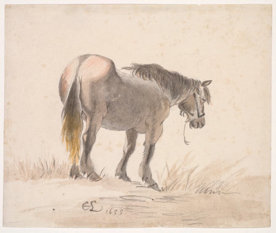 Horse Standing on a Mound — Cornelis Saftleven