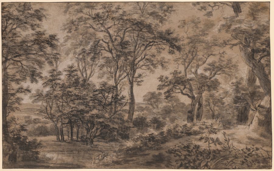 Wooded Landscape — Anthonie Waterloo