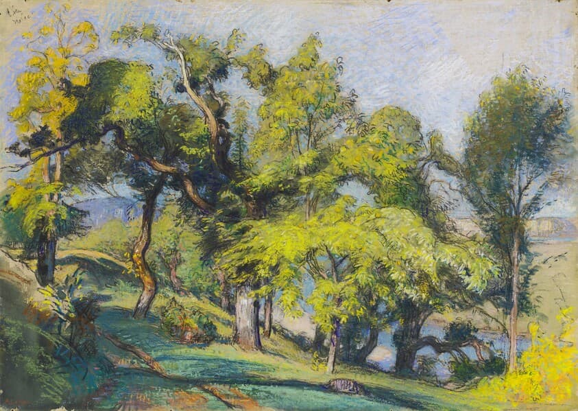 Chestnut Trees above a River — Auguste Lepère