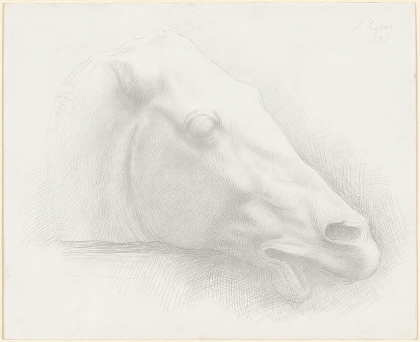 Head of a Horse from the Parthenon — Alphonse Legros