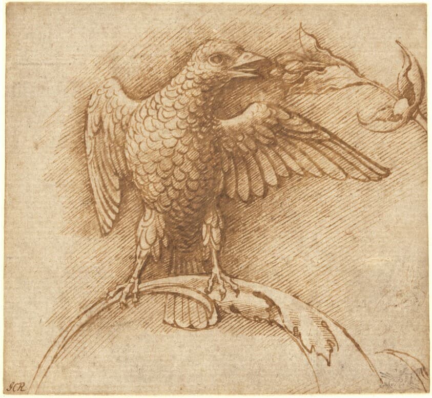 A Bird Perched on a Branch with Fruit — Andrea Mantegna