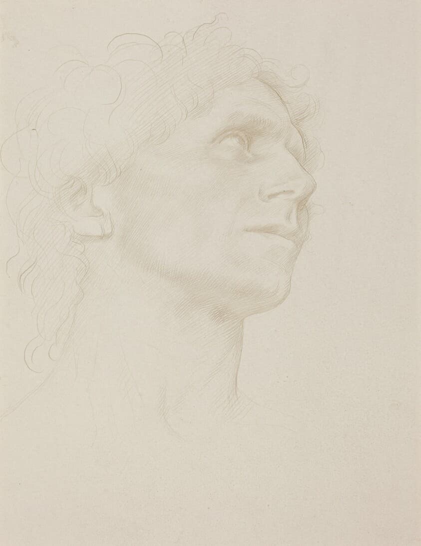 Study of Woman's Head, Turned Right — Alphonse Legros