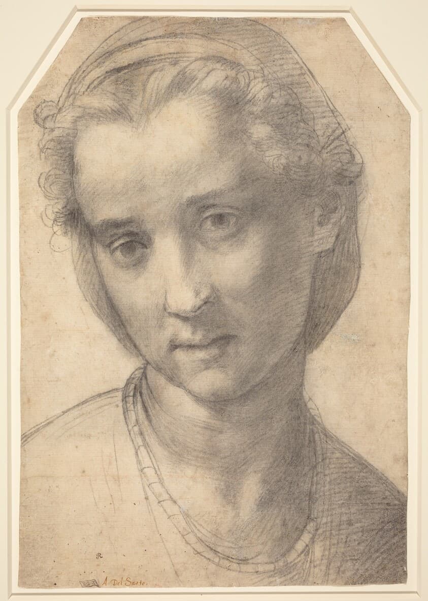 Head of a Woman — Andrea del Sarto
