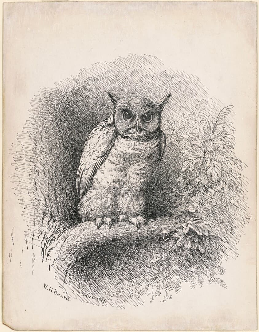 Owl — William Holbrook Beard