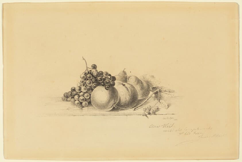 Still Life with Fruit — James McDougal Hart