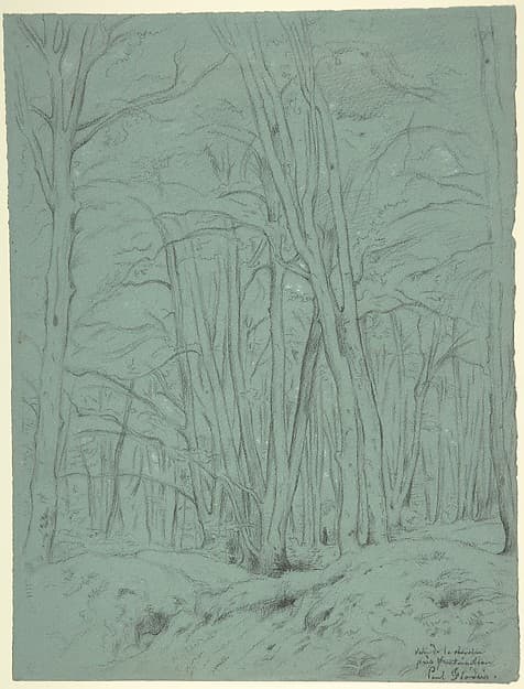 Forest View Near Fontainebleau — Paul Flandrin