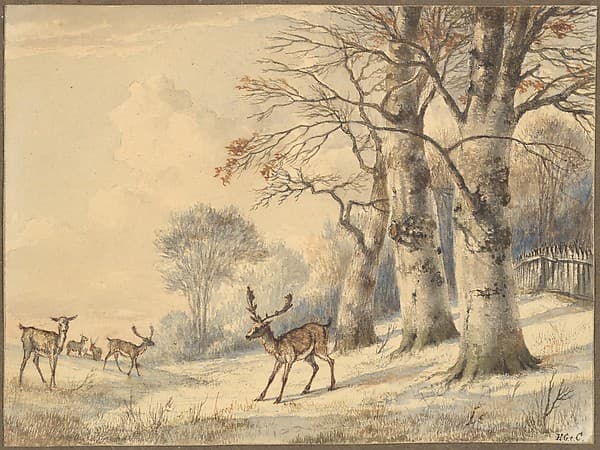 Deer under Beech Trees in Summer — Hendrik Gerrit ten Cate