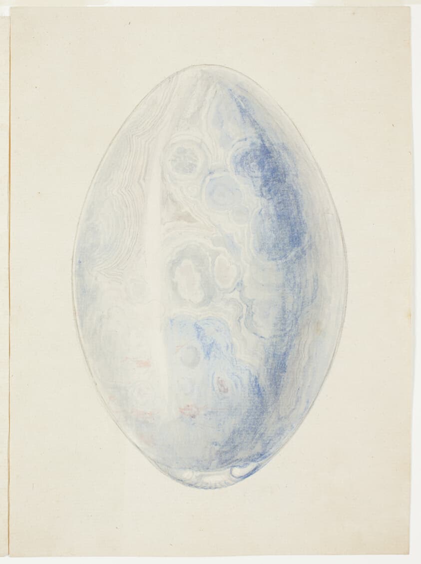 Overview of Oval Shell Stone — Giuseppe Grisoni