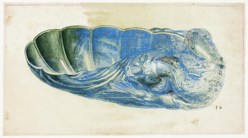 Blue and Green Shell with Dragon's Head — Giuseppe Grisoni