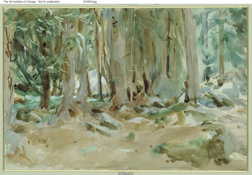 Forest Scene — John Singer Sargent