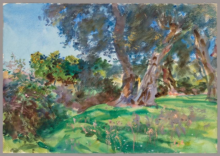 Olive Trees, Corfu — John Singer Sargent