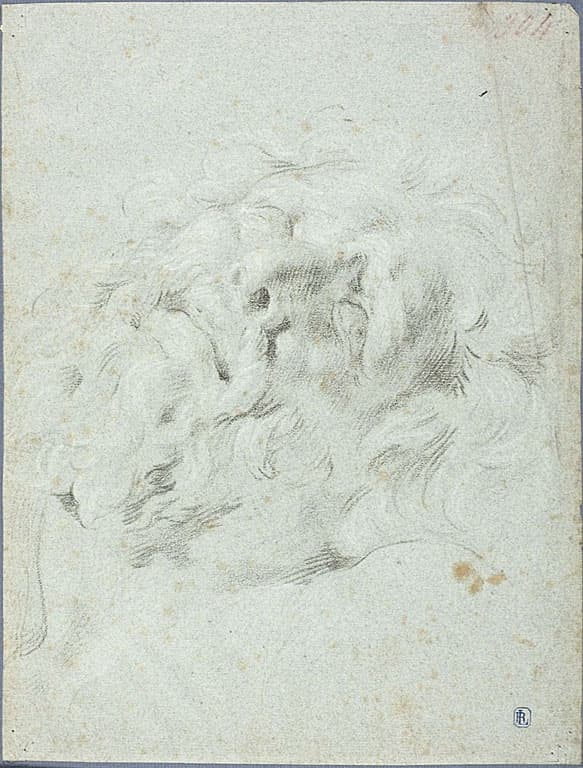 Head from Laocoon Group — Anton Domenico Gabbiani